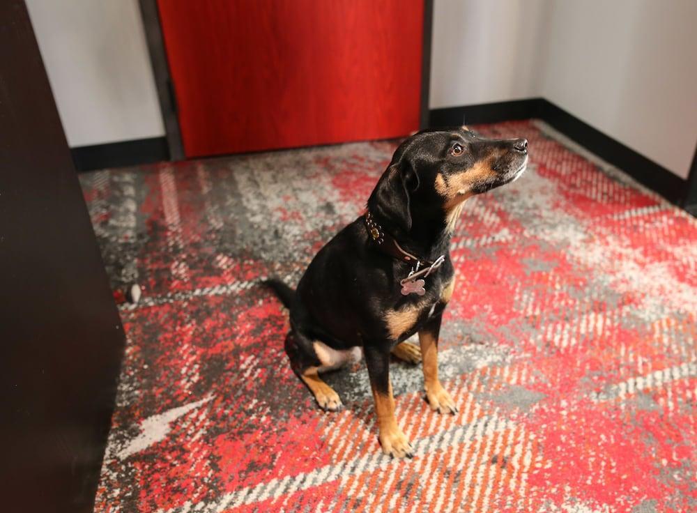 Bobby Hotel NashvilleNashville  Kültér fotó